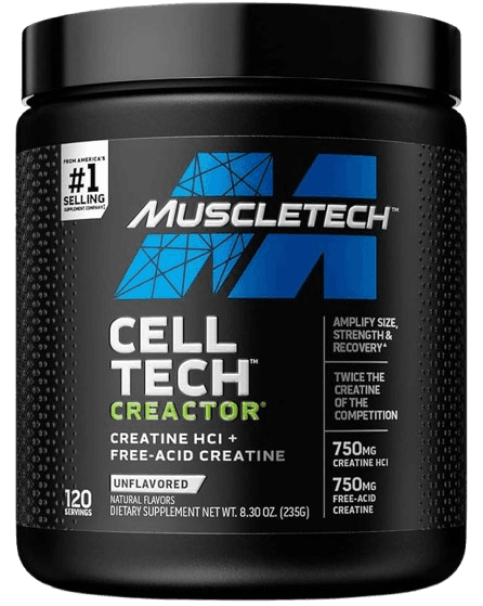 Creatine muscletech